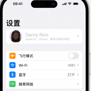 兴城appleID维修服务iPhone设置中Apple ID显示为灰色无法使用 