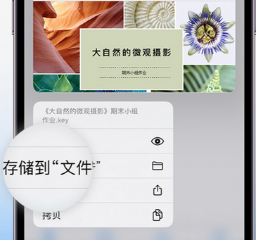 兴城apple维修中心分享iPhone文件应用中存储和找到下载文件