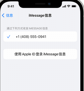 兴城apple维修iPhone上无法正常发送iMessage信息 