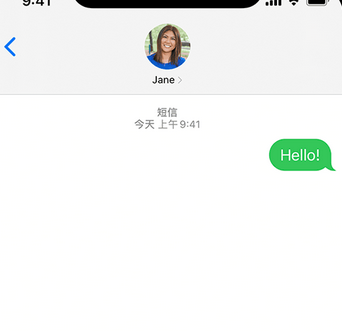 兴城apple维修iPhone上无法正常发送iMessage信息