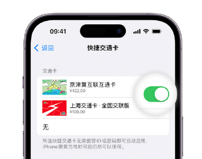 兴城apple维修点分享iPhone上更换Apple Pay快捷交通卡手绘卡面 