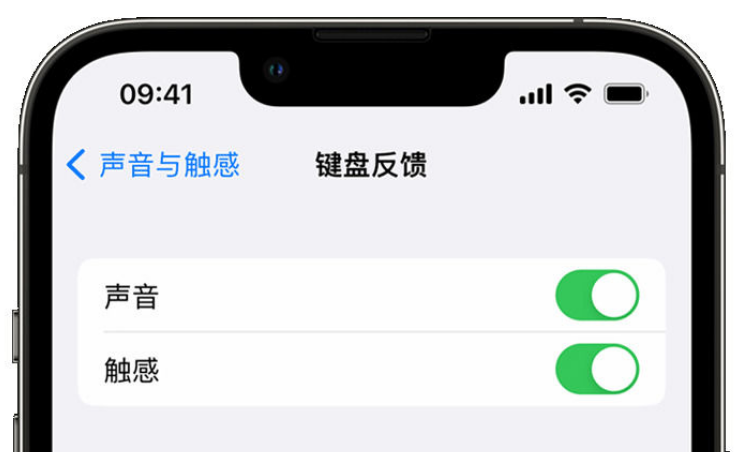 兴城苹果手机维修分享iPhone 14触感键盘使用方法 