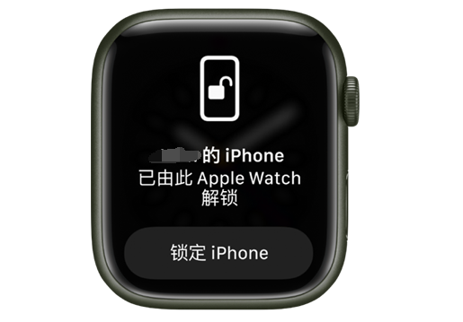 兴城苹果手机维修分享用 AppleWatch 解锁配备面容 ID 的 iPhone方法 