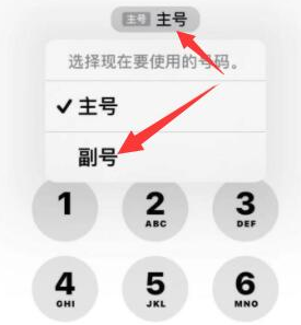 兴城苹果14维修店分享iPhone 14 Pro Max使用副卡打电话的方法 