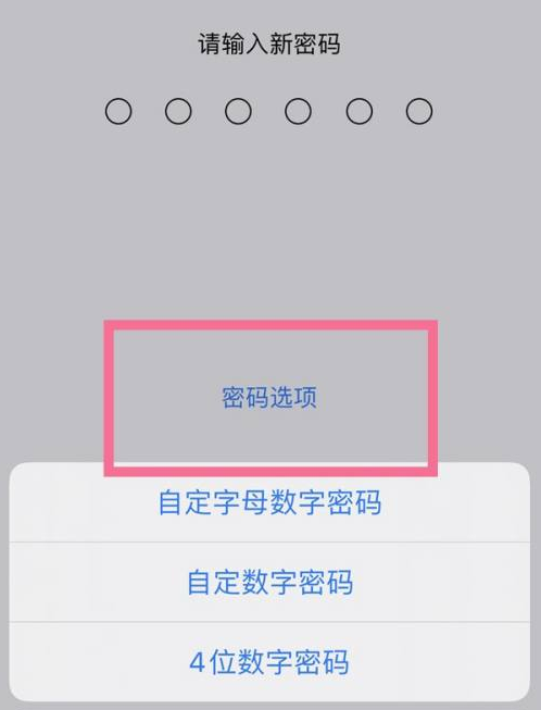 兴城苹果14维修分享iPhone 14plus设置密码的方法 