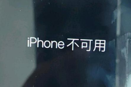 兴城苹果服务网点分享锁屏界面显示“iPhone 不可用”如何解决 