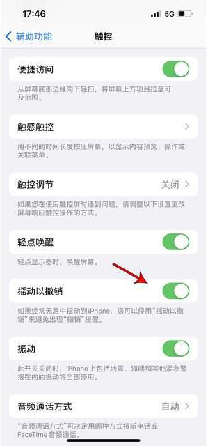 兴城苹果手机维修分享iPhone手机如何设置摇一摇删除文字 