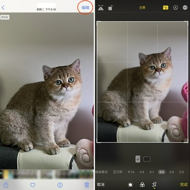 兴城苹果手机维修分享苹果 iPhone 12 Pro 拍照会过度锐化 