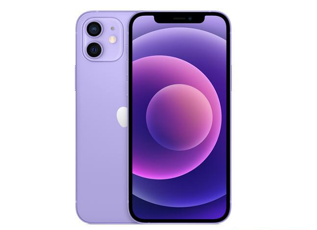 兴城苹果手机维修分享现阶段要不要入手紫色版iPhone12 