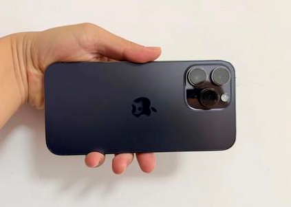兴城苹果维修点分享iPhone 14 Pro Max黑屏少见故障盘点 